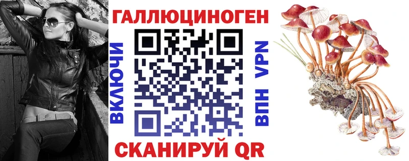 Галлюциногенные грибы Psilocybine cubensis  закладка  Голицыно 